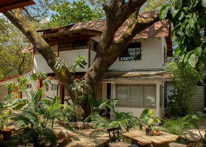 Homestay Noni Garden #2